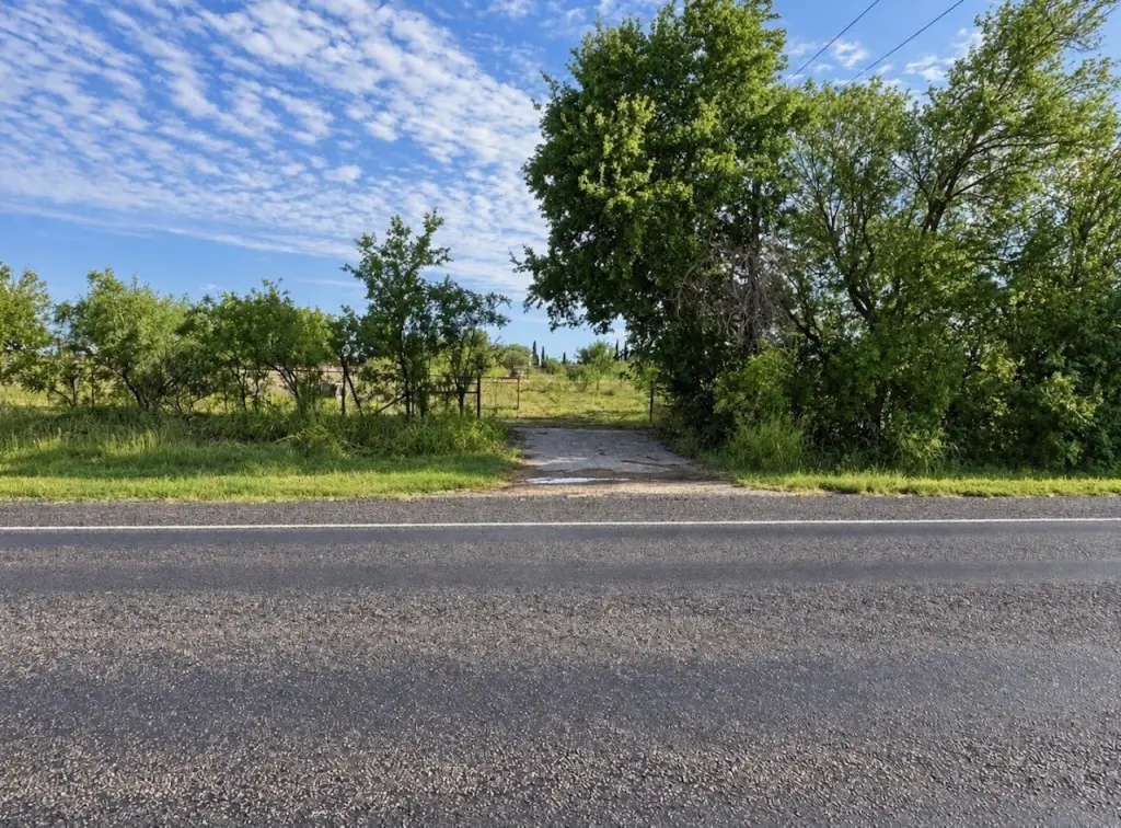 Picture 19