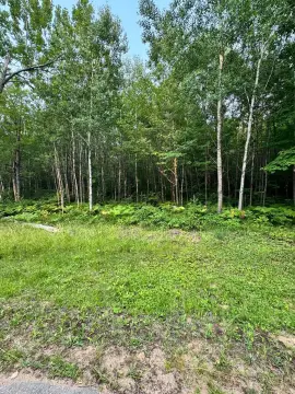 Wooded Residential Buildable Lot