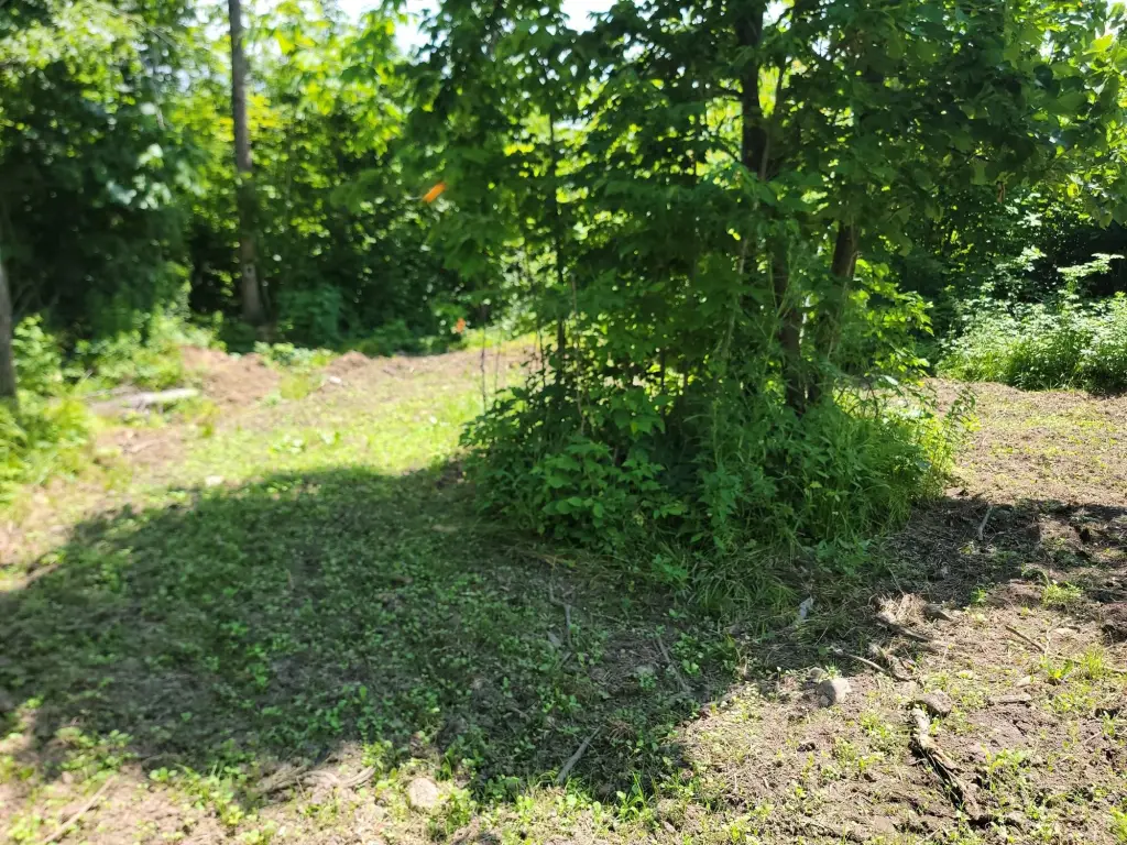 Picture 4