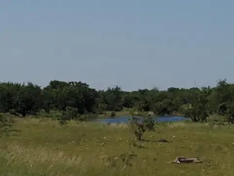 20 Acres in Western Texas