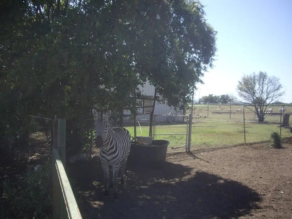 Picture 10