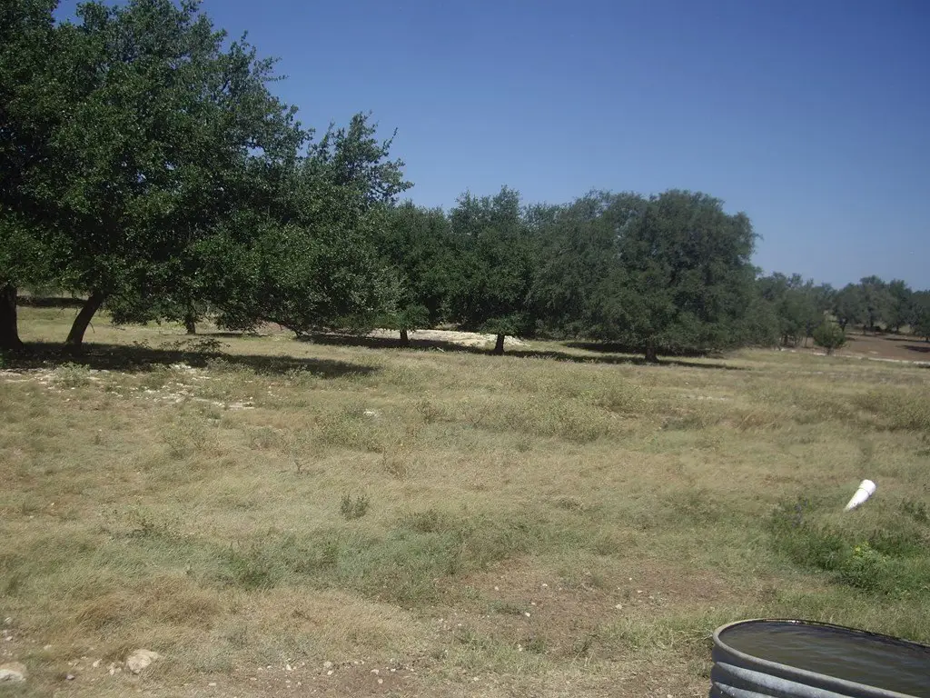 Picture 22