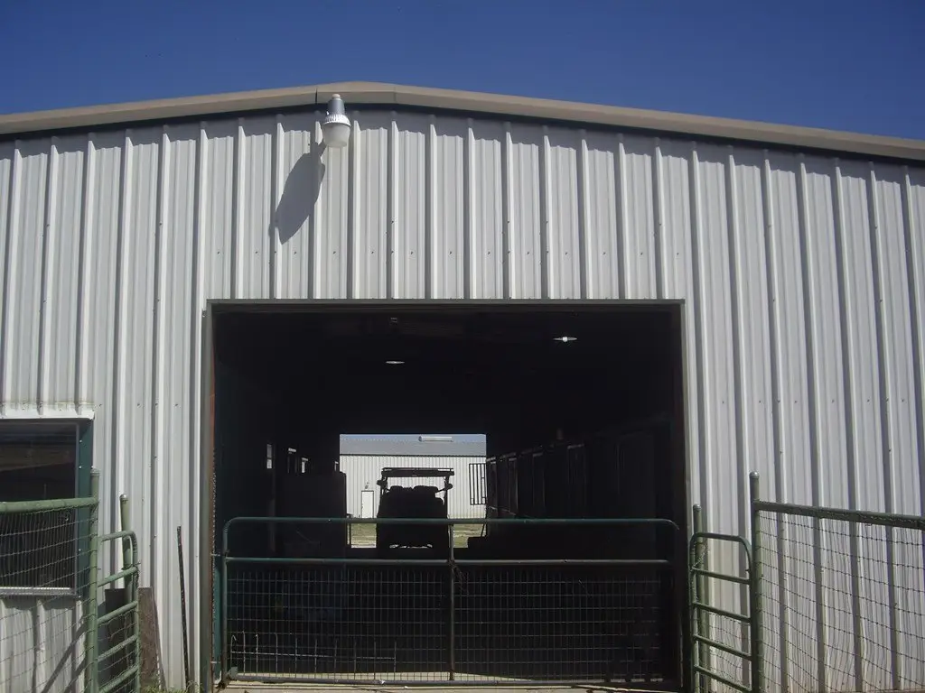 Picture 19