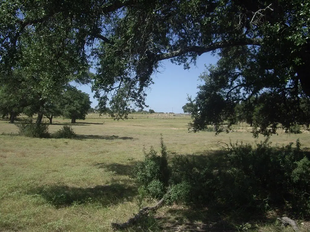 Picture 6