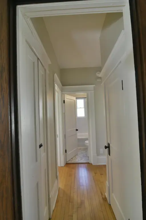 Picture 11