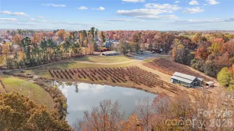 Vineyard Estate With Event Pavilion