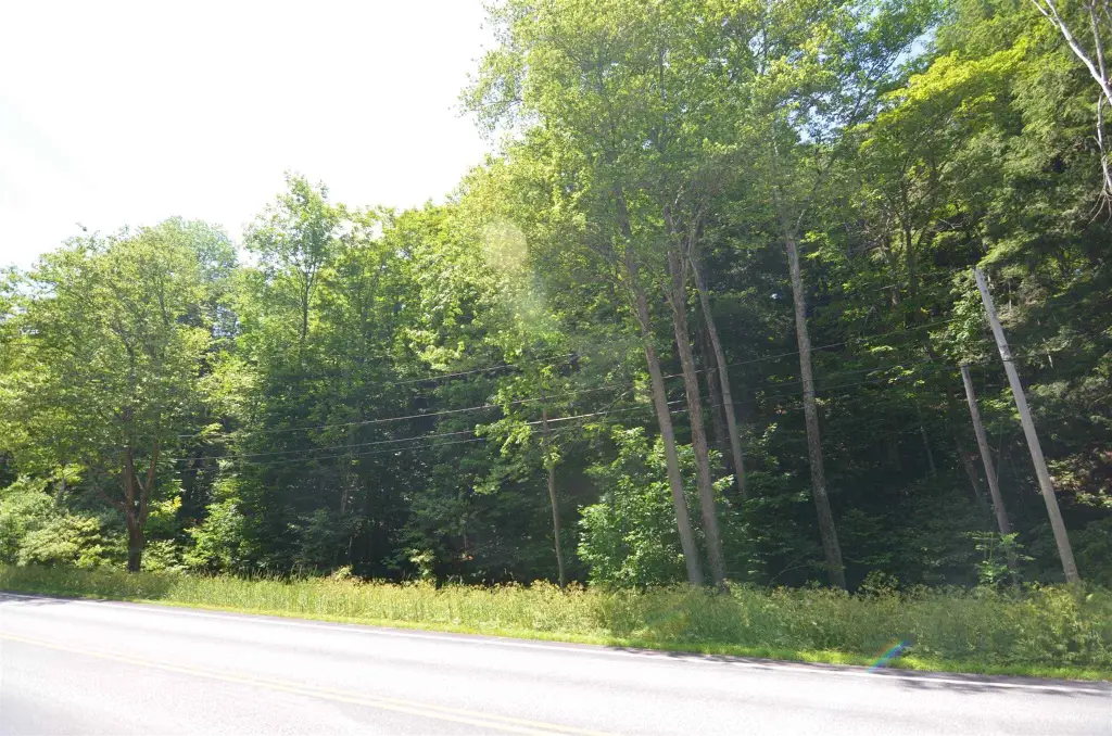 Picture 4