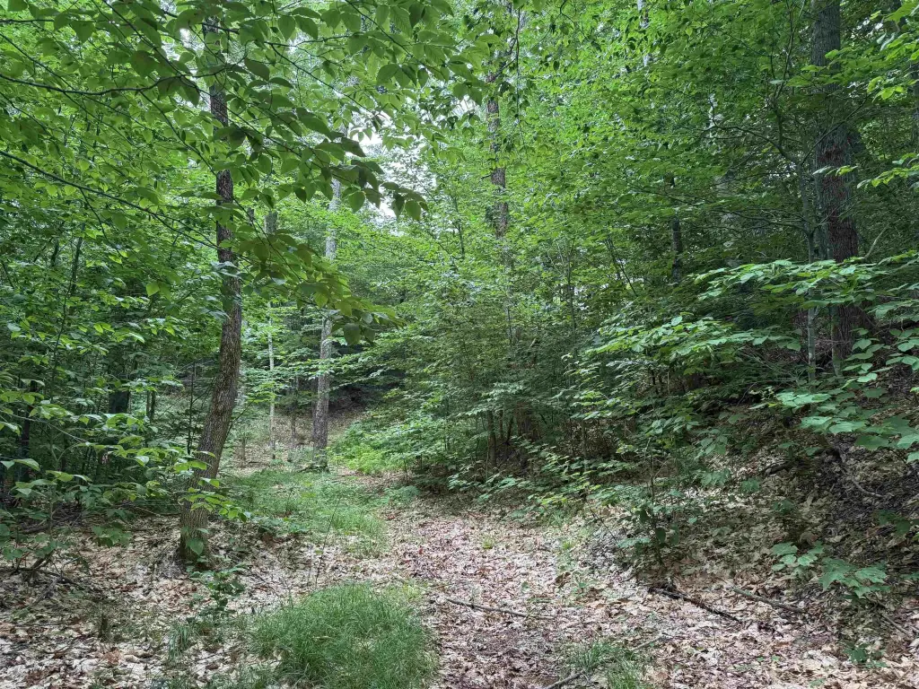 Picture 30
