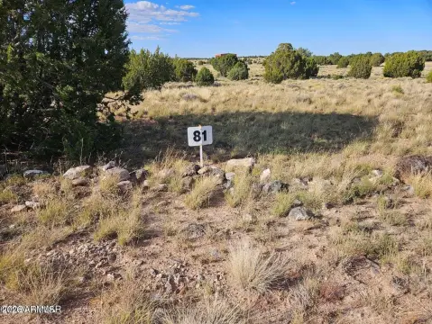 Concho, AZ Land Parcel