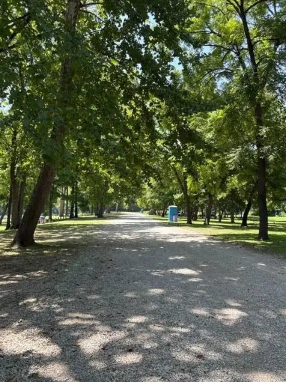 Picture 15
