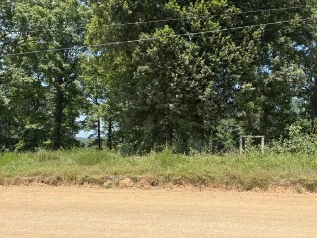 Picture 6