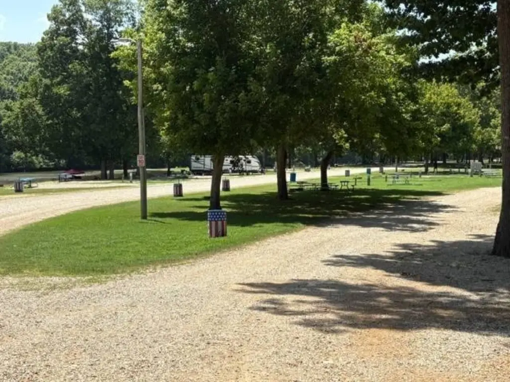 Picture 19