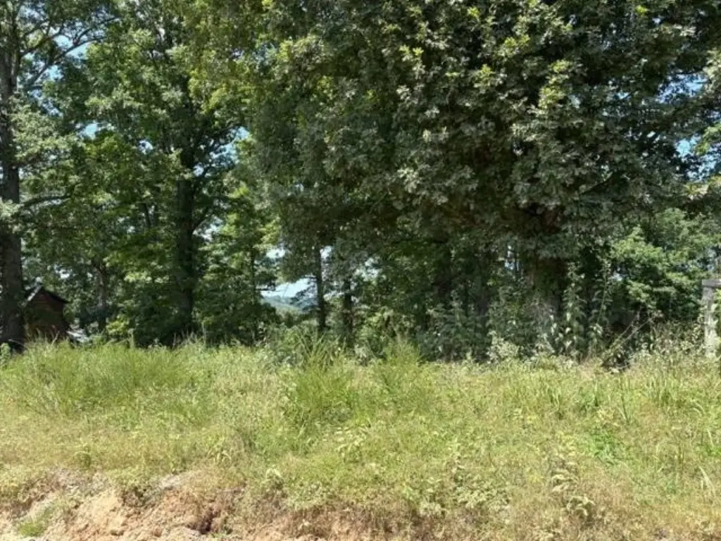 Picture 5