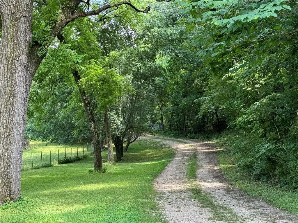 Picture 29