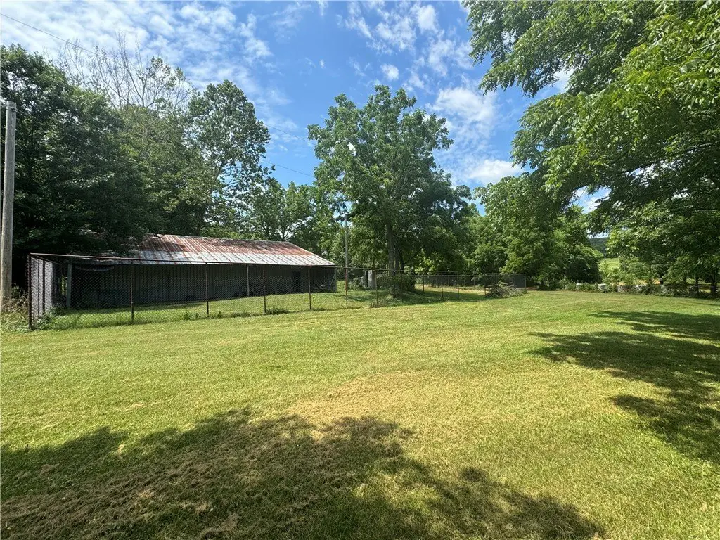 Picture 21