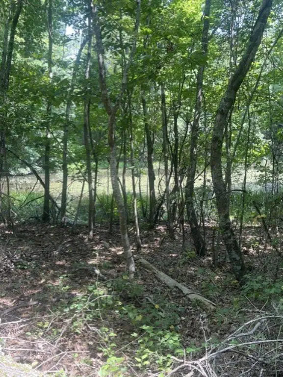 Picture 21