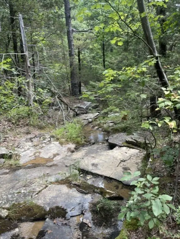 Picture 22