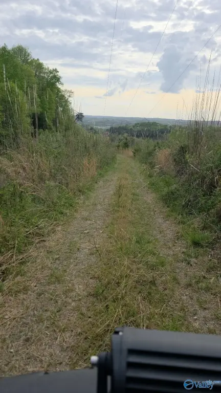 Picture 5