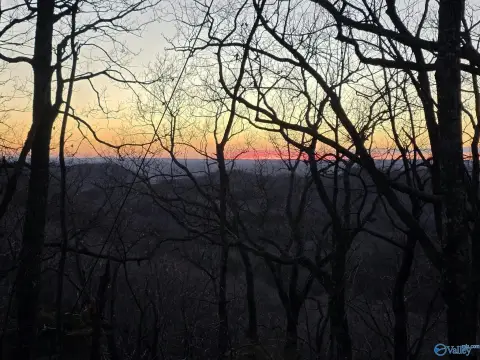 Wooded Recreation Land