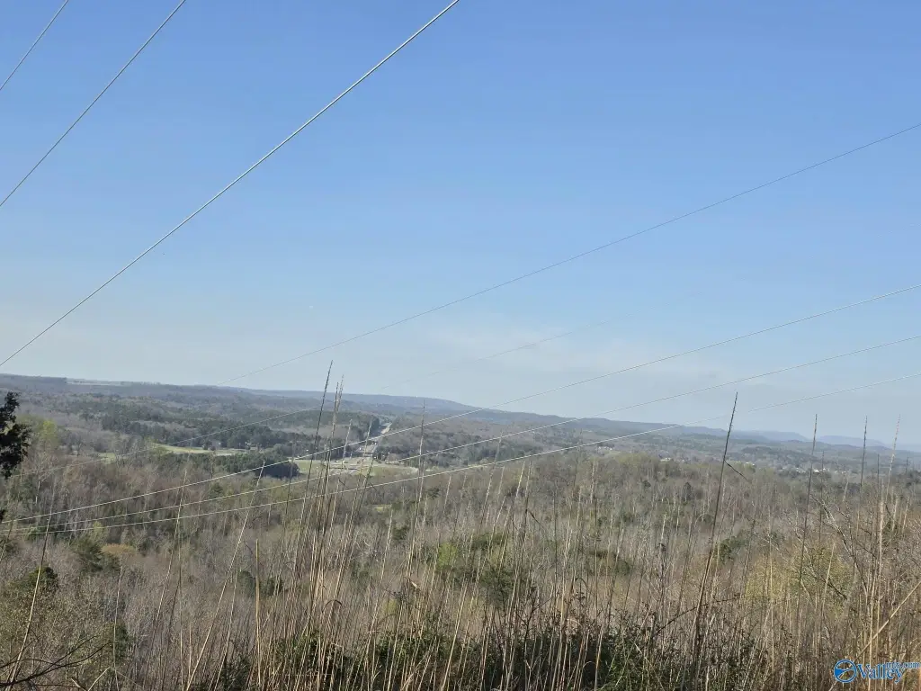 Picture 4