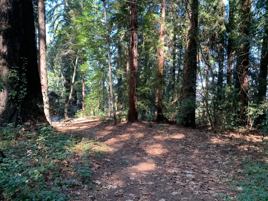 Picture 6