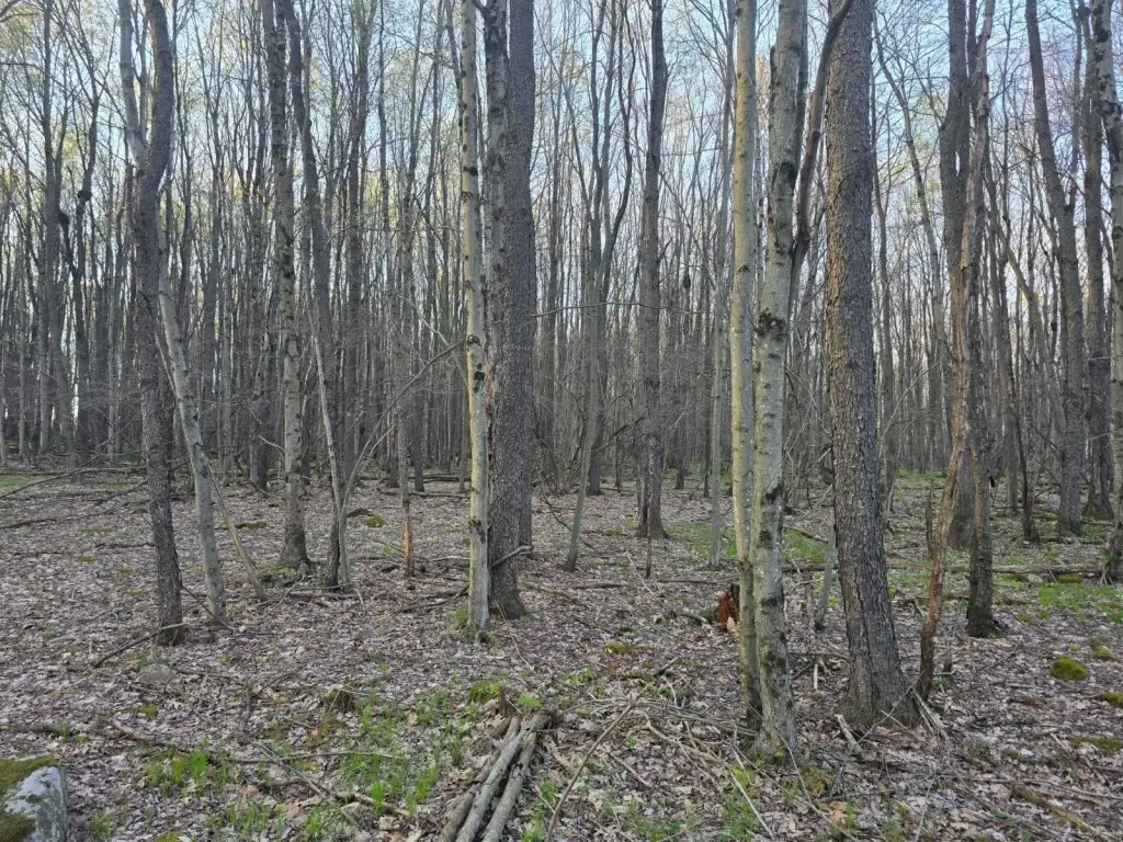 Picture 14