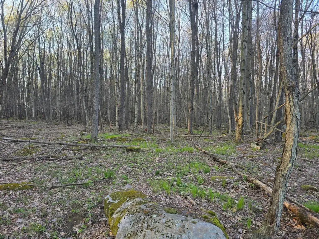 Picture 12
