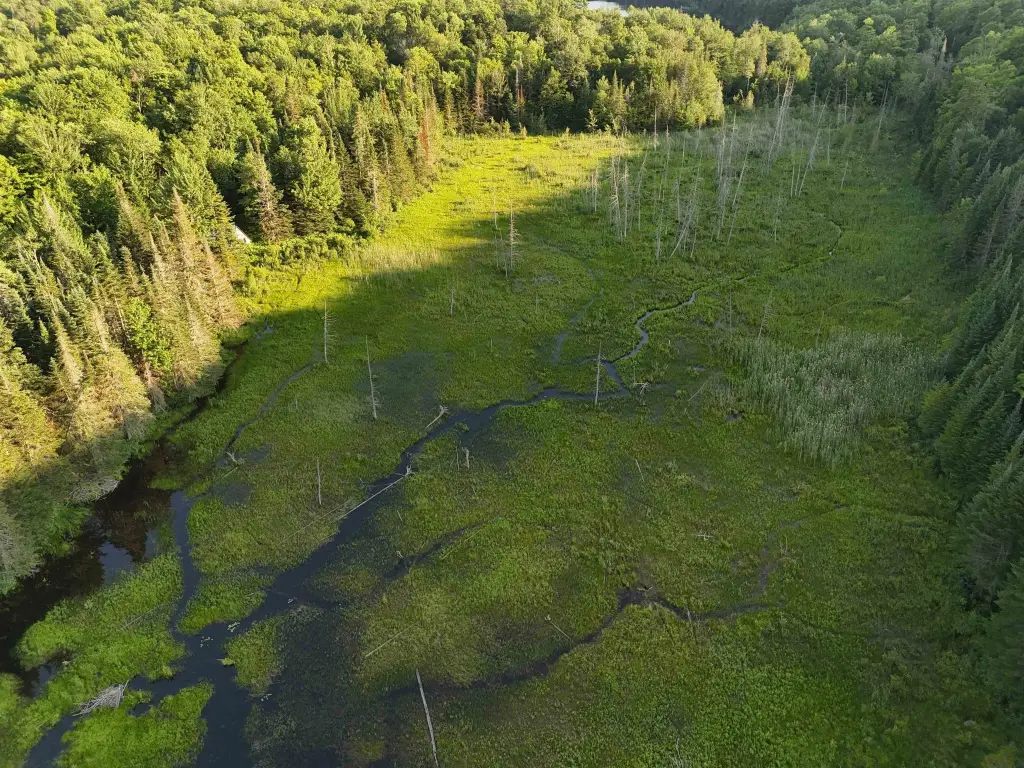 Picture 53