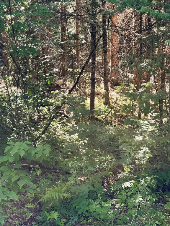 Picture 8