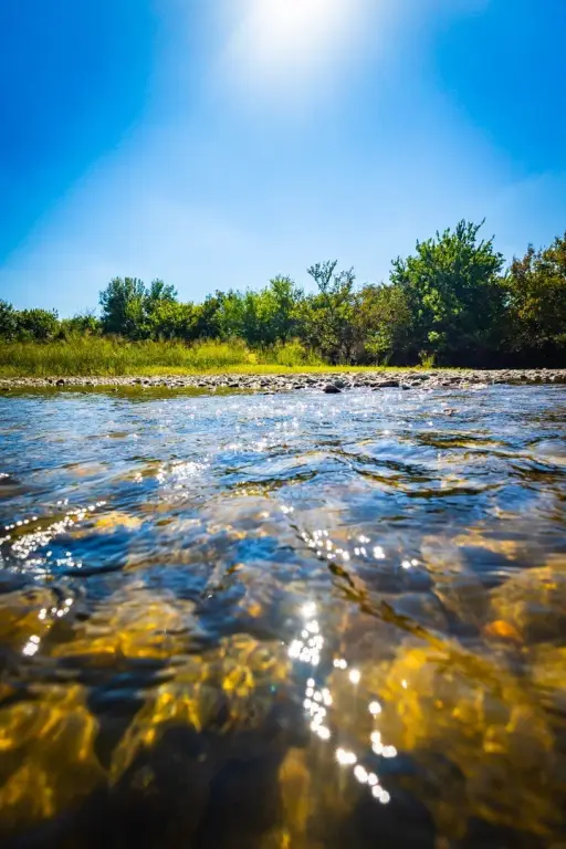 Picture 9