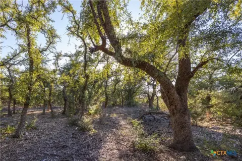 Wimberley Land in Gated Subdivision