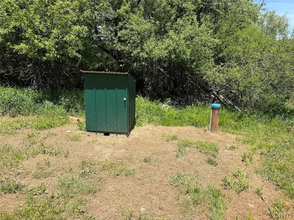 Picture 25