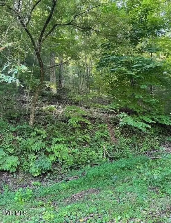 Picture 18
