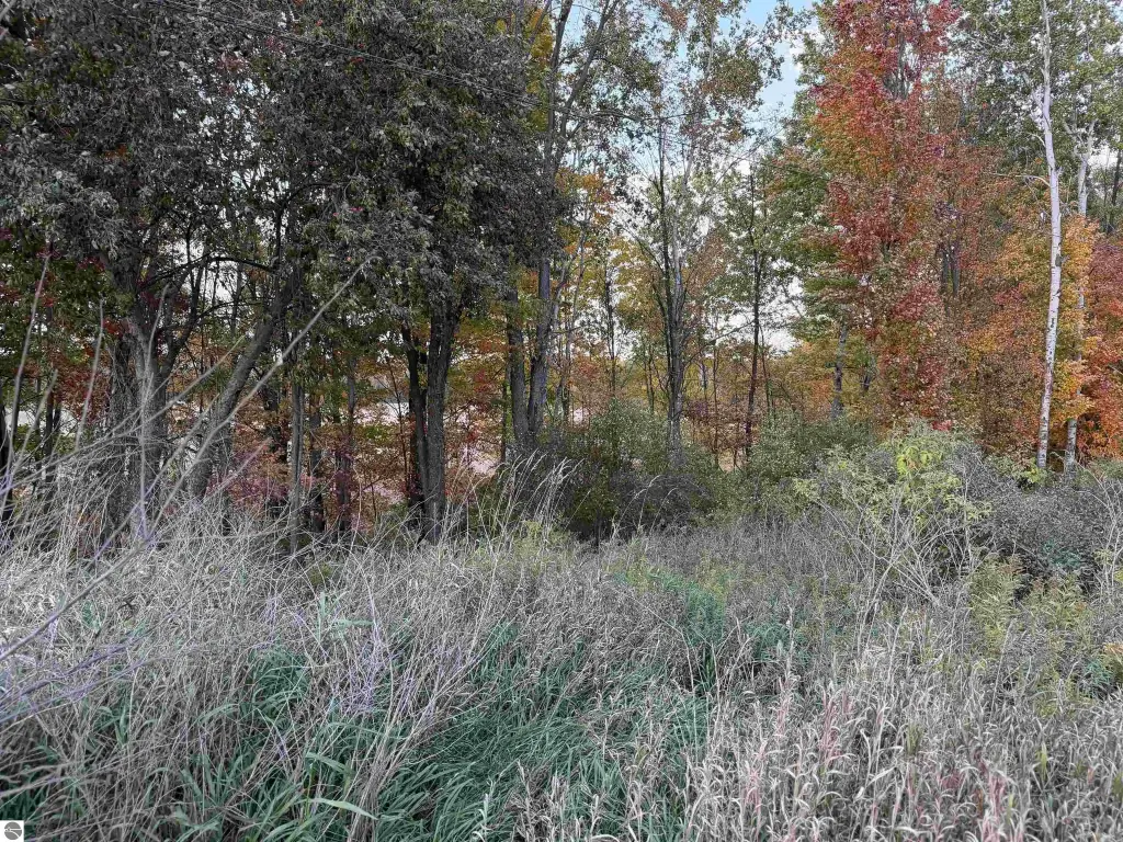 Picture 12