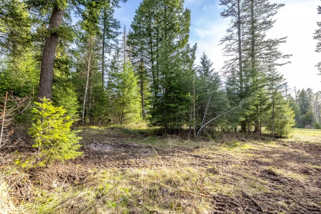 Picture 19