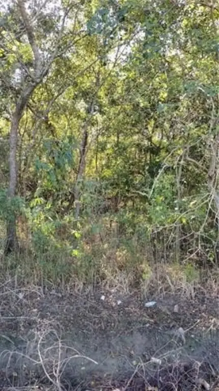 Picture 4