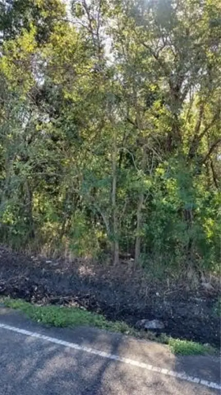 Picture 3