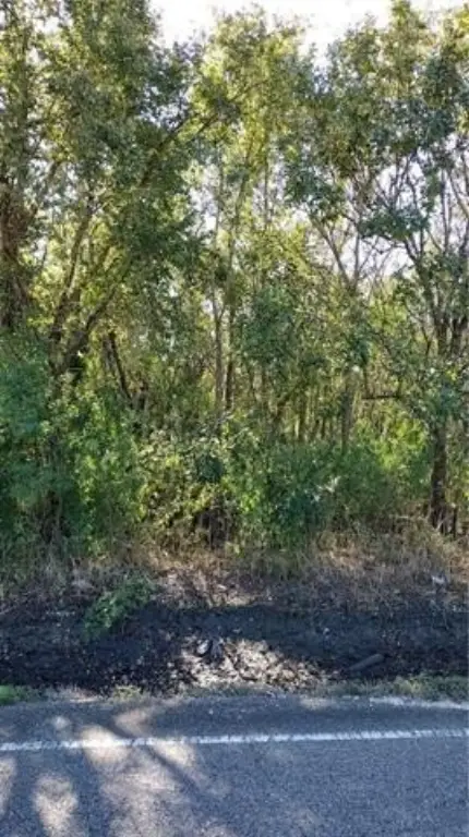 Picture 2