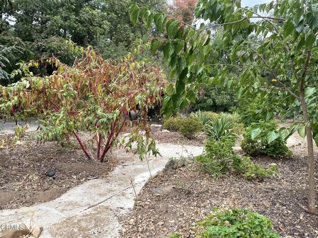 Picture 22