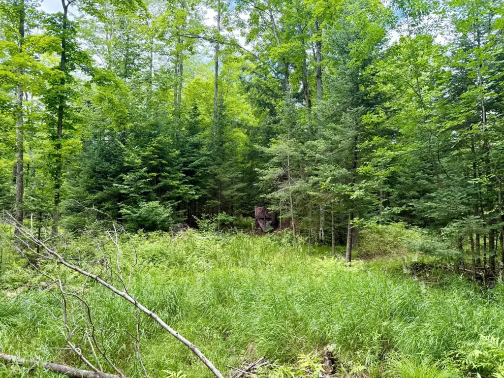 Picture 21