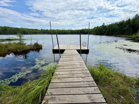 Wooded Recreation Land with Lake Access