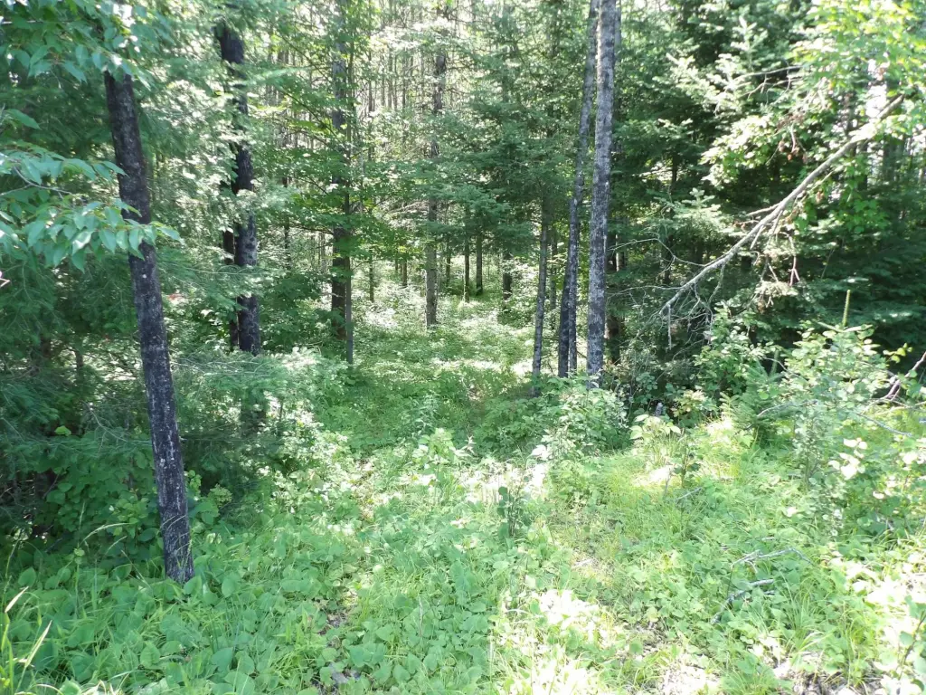 Picture 3