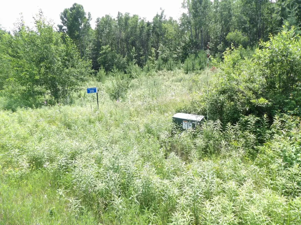 Picture 18