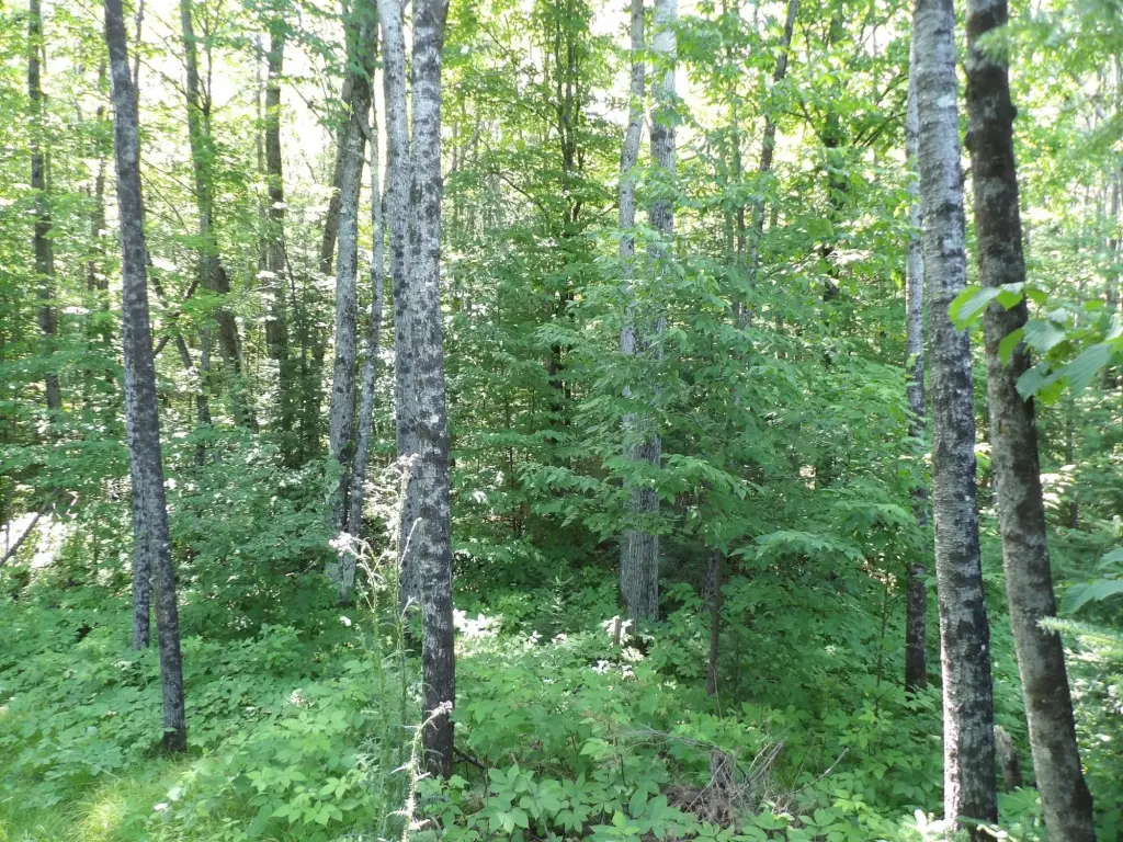 Picture 9