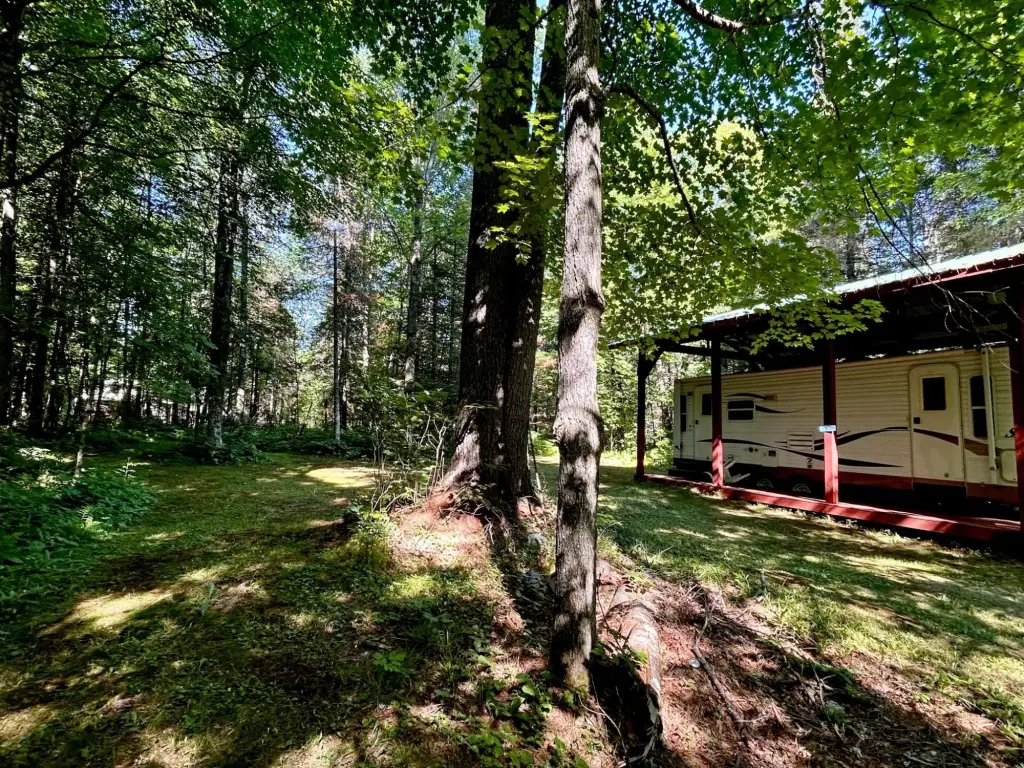 Picture 6
