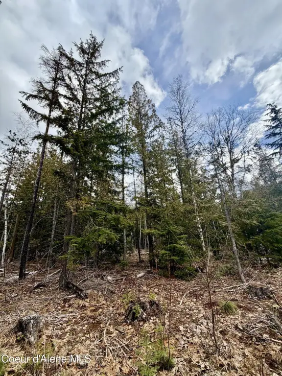 Picture 29