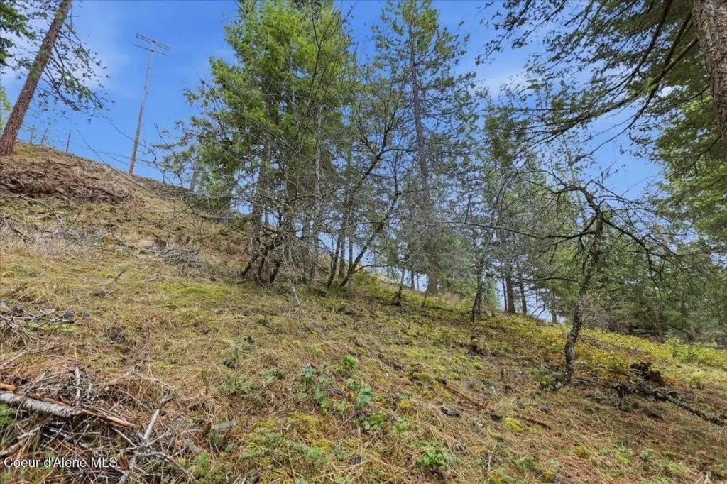 Picture 19