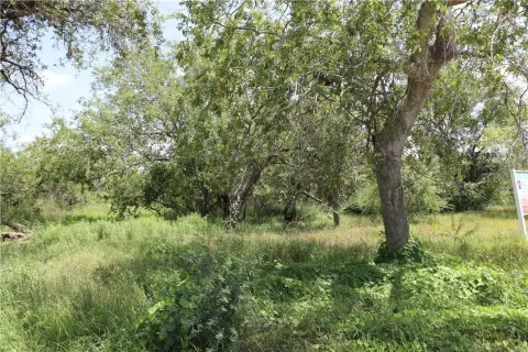 Undeveloped Land in Sinton, TX