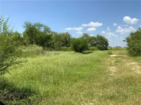 Undeveloped Land in Sinton, TX