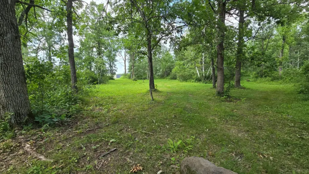 Picture 20